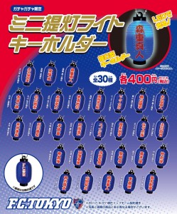 ミニ提灯ライト